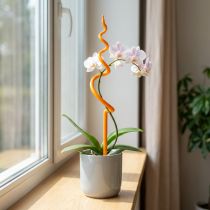 daiktų Orchidėjų kuolas, plastikinis, oranžinis, laipiojimo priemonė orchidėjoms, aukštis 64 cm