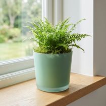 daiktų Stiklinis gėlių vazonas žalias vazonas stiklinis kubilas Ø11,5cm H11cm