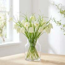daiktų Šaškių lentos gėlės Fritillaria dirbtinės baltos, žalios 40cm 12 vnt