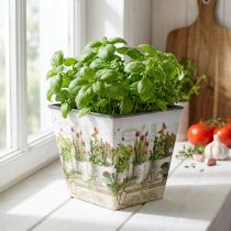daiktų Žolelių vazonas, vazonėlis su motyvu, vazonas A13cm P13,5cm