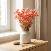 daiktų Džiovintos gėlės kepurėlės gėlės lašišos šiaudinės gėlės H42cm