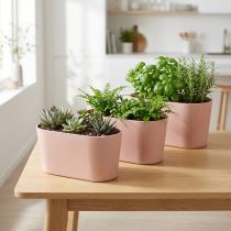 daiktų Augalų dubuo ovalus dekoratyvinis dubuo plastikinis rožinis rudas 20×10×11cm 3vnt