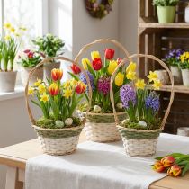 daiktų Gėlių krepšelis Henkel Natūrali žalia pilka balta Ø18–26 cm 3 vnt. rinkinys