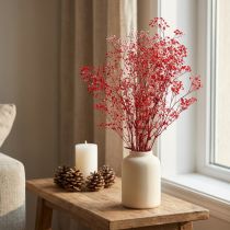 daiktų Gypsophila Gypsophila džiovintos gėlės Raudonos 50cm 55g