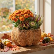 daiktų Moliūgų vazono krepšelis su folija, rudens dekoracija, oranžinis, Ø18cm, aukštis15cm