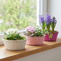 daiktų Skiedrų krepšelis apvalus violetinis/baltas/rožinis Ø25cm 6 vnt
