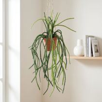 daiktų Rhipsalis dirbtinio koralinio kaktuso pakabinamas krepšelis H87cm