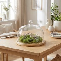 daiktų Stiklinis kupolas su mediniu lėkštės papuošimu sūrio kupolu Ø22cm H16,5cm