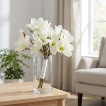daiktų Magnolijų kekė balta 40cm 5 vnt
