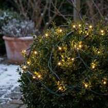 daiktų Lauko šviestuvų tinklas buksmedžiui, girlianda su 60 LED, Ø35cm
