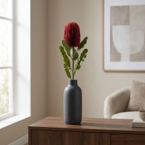 daiktų Dirbtinė gėlė Banksia Red Burgundy Dirbtinė egzotika 64cm