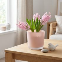 daiktų Stiklinis gėlių vazonas rožinio stiklo kubilas Ø11,5cm H11cm