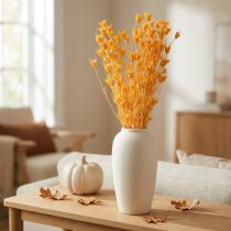 daiktų Džiovintų juodgrūdžių (Nigella) gėlių kompozicija ilgalaikiam naudojimui. Elegantiška ir akį traukianti kompozicija. 70 cm 50 g