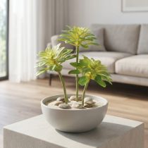 daiktų Sultingas dirbtinis augalas su kirtikliu Aeonium Green 30cm 4 vnt