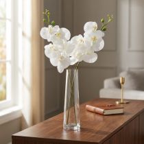 daiktų Balta dirbtinė orchidėja Phalaenopsis Real Touch 85cm