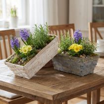 daiktų Smulkių krepšelių rinkinys balta, pilka, ruda 8 vnt. 20cm x 11cm