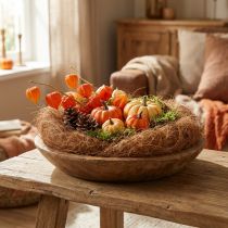 daiktų Gėlių kompozicijų užpildas, dekoratyviniai pluoštai, palmyros palmių pluoštas, indelis 1 kg