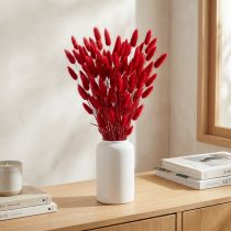 daiktų Džiovintos raudonos triušio uodegos žolės (Lagurus) 60 cm 50 g džiovintų gėlių dekoracija