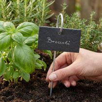 daiktų Natūralaus šiferio plokštės Plug Plant Signs Juodi 25cm