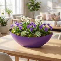 daiktų Augalinės valties dekoratyvinis dubuo violetinis 38,5 cm × 12,5 cm × 13 cm