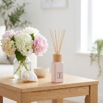 daiktų Kambario kvepalų stiklo buteliuko kvapų lazdelės Summer Vibes 100ml