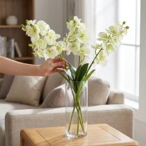 daiktų Orchidėja šviesiai žalia 56cm 6vnt