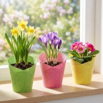 daiktų Sodinamojo popieriaus austas rožinis, geltonas, žalias Ø7cm H13cm 12vnt