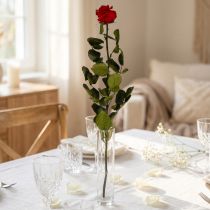 daiktų Infinity Rose su konservuotais lapais Amorosa Red L54cm