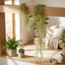 daiktų Tillandsia dekoratyvinis pakabinamas Tillandsia dirbtinis žalias baltas 180cm