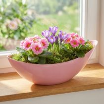 daiktų Augalų valtis plastikinis gėlių dubuo rožinis 28×9×9cm 3vnt