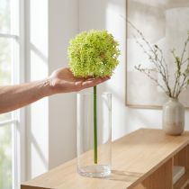 daiktų Allium green gėlė dirbtinis dekoratyvinis svogūnas Ø18cm 90cm