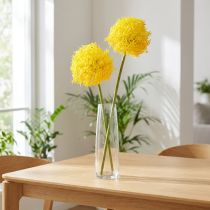 daiktų Allium geltonžiedis dirbtinis svogūnas 80cm Ø14.5cm 2vnt.