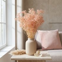 daiktų Gypsophila Decoration Oranžinės džiovintos žolės persikas 65-70cm 100g