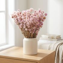 daiktų Džiovintų gėlių puokštė sausas dekoravimas ramunėlių rožinė 65cm 50g
