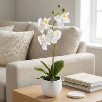 daiktų Baltos dirbtinės orchidėjos vazone Phalaenopsis H33cm