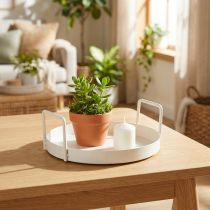 daiktų Augalų padėklas universaliam naudojimui namuose ir sode, 18 cm