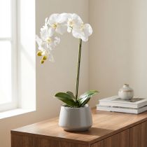 daiktų Dirbtinė orchidėja, apgaulingai tikroviška, biuro ir svetainės dekoravimui, 62 cm