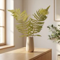daiktų Džiovintas ir konservuotas papartis. Puikiai tinka natūraliai namų dekoracijai. 80 cm.