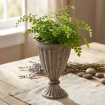 daiktų Dekoratyvinė trofėjinė sodinamoji antikvarinė išvaizda pilkai ruda Ø13cm H19cm