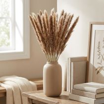 daiktų Džiovintos žolės Pampas žolė natūrali kekė 80cm 100g