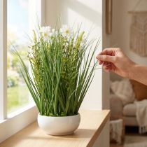daiktų Dekoratyvinė žolė su Cosmea gėlėmis dubenyje H45cm