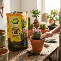 daiktų FRUX Soil kaktusų ir bonsai dirvožemis 5 l