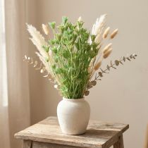 daiktų Džiovintos gėlės juodųjų kmynų, žaliųjų nigelių, 50 cm, 100 g