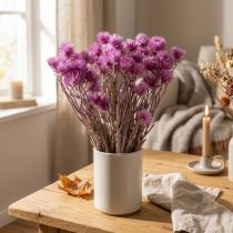 daiktų Džiovintos gėlės Kepurinės gėlės Violetinės šiaudinės gėlės H42cm