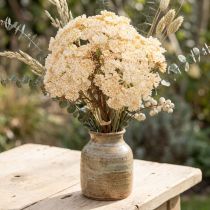 daiktų Dirbtinės kraujažolės kreminės spalvos dirbtinės Achillea gėlės 30cm 6 vnt.