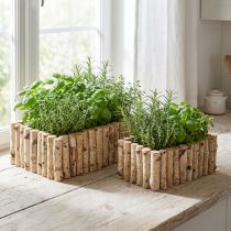 daiktų Augalų dėžutė medinė žolelių dėžutė beržas L23/28cm rinkinys iš 2 vnt