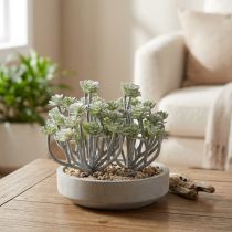daiktų Stonecrop Dirbtiniai sukulentai Dirbtiniai augalai 16cm 4 vnt