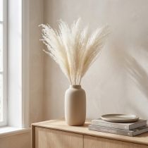 daiktų Džiovintos gėlės, sidabrinė žolė. Elegantiška natūrali puošmena namams ir biurui. 70 cm, 10 vnt.
