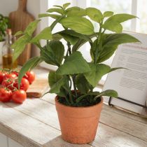 daiktų Dirbtinis bazilikas vazonėlyje Žolelių vazonas Dirbtinis augalas 22cm 2vnt