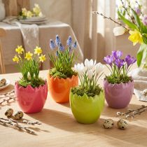 daiktų Mini vazonas Easter Egg Spalvoti kiaušiniai Vazos Pastelinė 8,5cm 4 Vnt